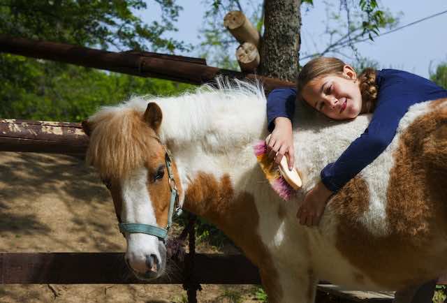 hästcoaching barn och ungdomar